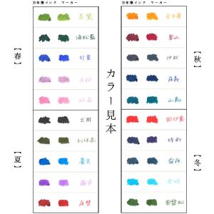 15日は最大P16% セーラー万年筆 SHIK...の詳細画像3