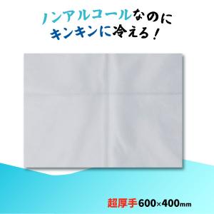 iiもの本舗 ラージサイズ 冷感タオル ノンア...の詳細画像2
