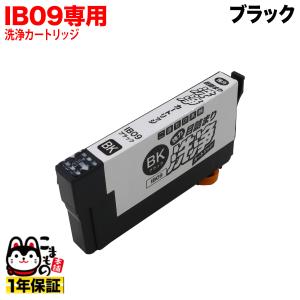 IB09KB専用 エプソン用 IB09 プリンター目詰まり洗浄カートリッジ ブラック ブラック用 PX-M730F｜komamono