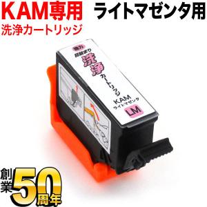 KAM-LM専用 エプソン用 KAM カメ プリンター目詰まり洗浄カートリッジ ライトマゼンタ ライトマゼンタ用 EP-881AB｜こまもの本舗 Yahoo!店