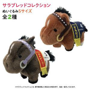 サラブレッドコレクション　２種セット 本日ポイント10倍 サラブレッド コレクション ぬいぐるみ S