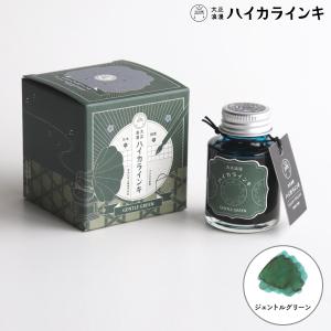 寺西化学工業 ギター 大正浪漫 ハイカラインキ ジェントルグリーン TRH-40ML-T62｜komamono