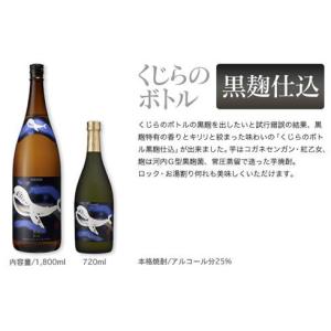 新政 アース 土産 2020 蔵内熟成酒 720ml : ELUA - 通販 - Yahoo