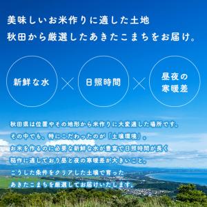 【お助け20kg】令和7年産 あきたこまち家計...の詳細画像2