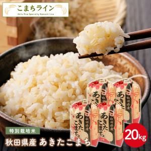 あきたこまち 【精米30kg】令和6年産 秋田県産 あきたこまち あきたこまち 【精米30kg】令和6年産 秋田県産 あきたこまち