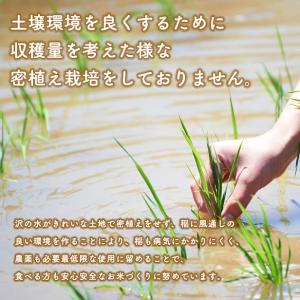 【無洗米20kg】令和7年産秋田県産 あきたこ...の詳細画像1