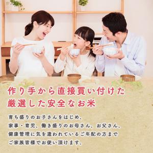 【無洗米20kg】令和7年産秋田県産 あきたこ...の詳細画像4