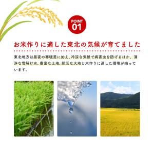 新米!【こまち姫20kg】令和8年産 東北産 ...の詳細画像1