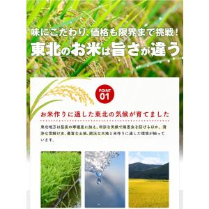 【こまち姫30kg】令和8年産 東北産 こまち...の詳細画像1