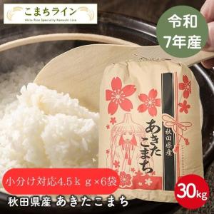 もち米 秋田県産 たつこもち 300g : こまちライン - 通販