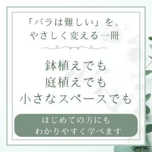 NHK 趣味の園芸 鉢でも、小さなスペースでも...の詳細画像1