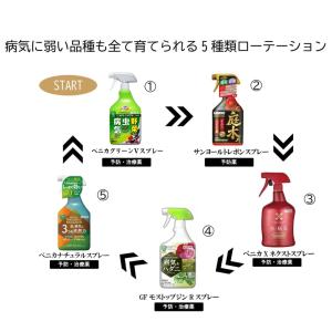 KINCHO園芸 パイベニカVスプレー 1000ml : コマツガーデン Yahoo!店