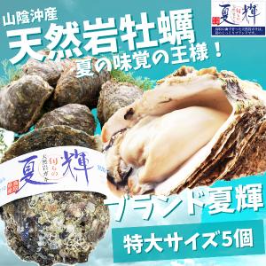 天然岩牡蠣 (活)夏輝牡蠣 ３５０g-４５０ｇ前後 5個セ...