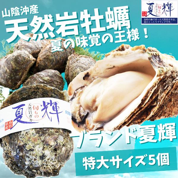 天然岩牡蠣 (活)夏輝牡蠣 ３５０g-４５０ｇ前後 5個セットブランド 夏輝牡蠣 鳥取産 カキ 刺身...