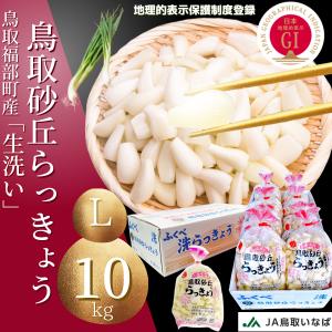 らっきょう 洗い 生 ラッキョウ 1kg Lサイズ JAいなば JAふくべ 鳥取大