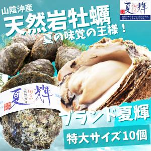 天然岩牡蠣 (活)夏輝牡蠣 ３５０g-４５０ｇ前後 10個セ...