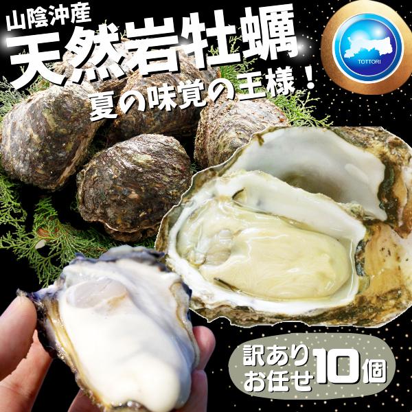 天然岩牡蠣(活) 10個セット 大きさお任せ 鳥取産 岩牡蠣  牡蠣 刺身用（岩ガキ/岩がき)