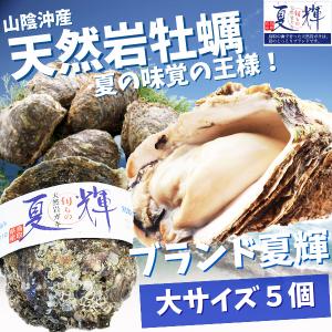 天然岩牡蠣 (活)夏輝牡蠣 250g-350ｇ前後(大サイズ) 5...