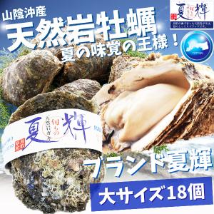 天然岩牡蠣 (活)夏輝牡蠣 250g-350ｇ前後(大サイズ) 18...