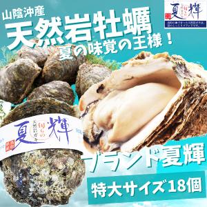 天然岩牡蠣 (活)夏輝牡蠣 ３５０g-４５０ｇ前後 18個セ...