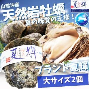 天然岩牡蠣 (活)夏輝牡蠣 250g-350ｇ前後(大サイズ) 2...