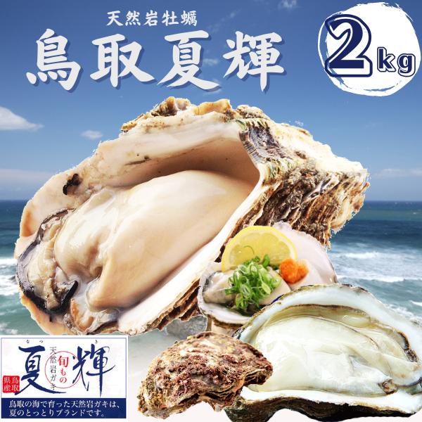 牡蠣 岩牡蠣 カキ 天然岩牡蠣 (活) 夏輝牡蠣 生牡蠣  2kgセット(6-12個) ブランド 牡...