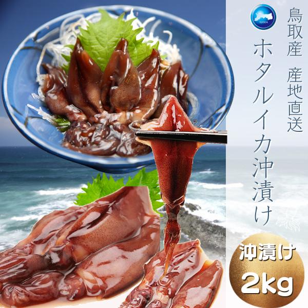 ホタルイカ沖漬け（醤油漬け）2024年度 新物 約2ｋｇ (２５０ｇ×8パック)  −６０℃以上冷凍...