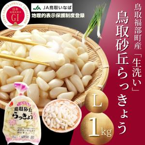 らっきょう 「洗い生らっきょう Lサイズ」JAいなば JAふくべ 鳥取大砂丘福部町産 ラッキョウ 1kg  すぐに漬けれるレシピ付き ２セットご購入で１セット増量｜komatsuya-imaru