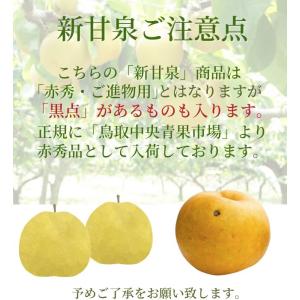 梨 新甘泉梨 しんかんせん 鳥取産 5kg (...の詳細画像4