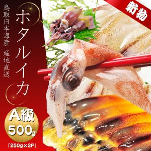 ホタルイカ 生 ほたるいか 2026年度 ご自宅用 訳あり -60℃急速冷凍