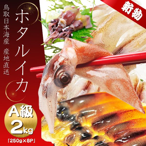 ホタルイカ  生 ほたるいか 2026 新物 A級 ２ｋｇ (２５０g×８パック)  生ほたるいか ...