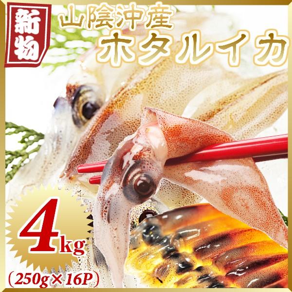 ホタルイカ ほたるいか 2024 新物 A級 ４ｋｇ (２５０g×１６パック)  生ほたるいか 蛍烏...