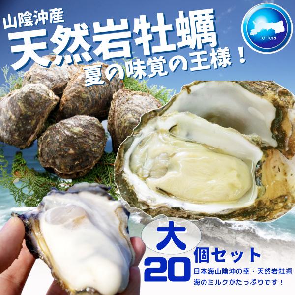 天然岩牡蠣 (活) 牡蠣 250g-350g前後 20個セット 鳥取産 岩牡蠣 カキ 刺身用 (岩ガ...