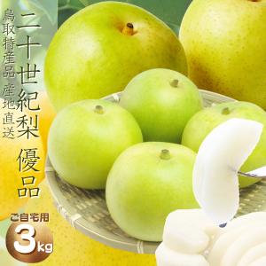 梨 二十世紀梨  二十世紀梨 3kg 20世紀梨 なし ナシ（S-３L 7-18個前後 ）(ご自宅用 優品）梨  梨 送料無料