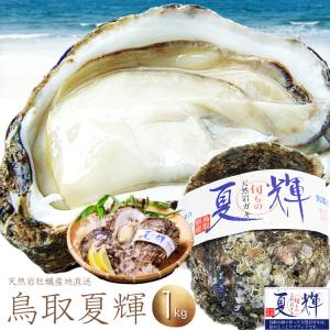 牡蠣 天然岩牡蠣 (活)夏輝牡蠣 生牡蠣 1kgセット(3-6個) ブランド 夏輝牡蠣 鳥取産 カキ 刺身用 送料無料(岩ガキ/岩がき)