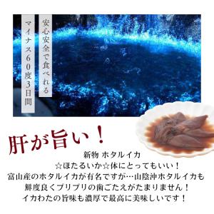 ホタルイカ 沖漬け 醤油漬け ほたるいか 沖漬...の詳細画像2