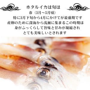 ホタルイカ 沖漬け 醤油漬け ほたるいか 沖漬...の詳細画像4