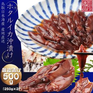 ホタルイカ 沖漬け 醤油漬け ほたるいか 2026年度 生 新物 約2kg (250g