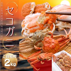 カニ セコガニ せこがに せいこがに ご自宅用（脚折れ有り）セイコガニ  松葉かに 雌かに 香箱かに 蟹 山陰沖産 親がに ２キロ前後（9ー16枚）