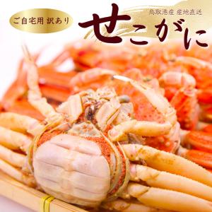 セコガニ 訳有り せこがに セイコガニ 香箱かに 蟹 山陰沖産