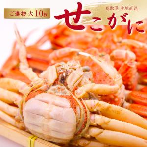 カニ セコガニ せこがに セイコガニ  大サイズ10枚セット(1枚140-170gｇ前後）ご進物用 親がに せいこがに 香箱かに  蟹　