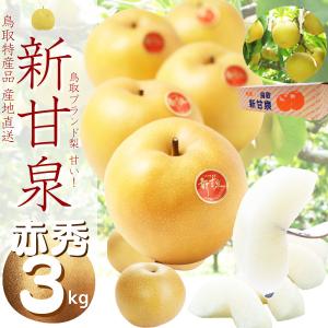 新甘泉梨 しんかんせん 鳥取産 梨 和梨（赤秀）3ｋｇ（６−１２玉入り）甘さ抜群 送料無料