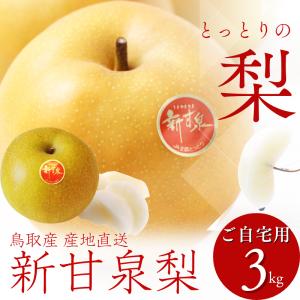 梨 新甘泉梨 しんかんせん 鳥取産 3kg ご自宅用 梨 和梨 なし 赤梨 ナシ（ご自宅用 訳あり）（S-４L）甘さ抜群 送料無料
