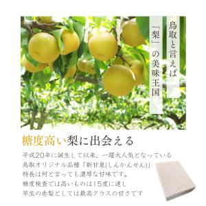 梨 新甘泉梨 しんかんせん 鳥取産 3kg ご...の詳細画像5