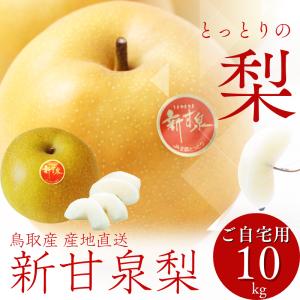 梨 二十世紀梨 20世紀梨 10kg詰 なし ナシ（S-3L 24-48個）（ご自宅用