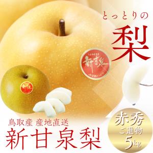梨 二十世紀梨 20世紀梨 10kg詰 なし ナシ（S-3L 24-48個）（ご自宅用 梨和梨家庭用20㎏