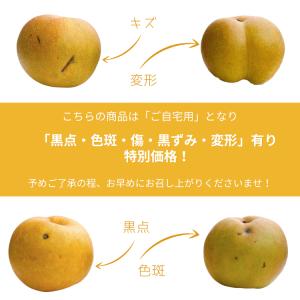 梨 新甘泉梨 しんかんせん 鳥取産 5kg ご...の詳細画像4
