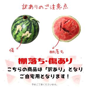 スイカ 西瓜 すいか 鳥取 鳥取県北栄町産(旧...の詳細画像3