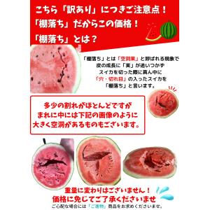 スイカ 西瓜 すいか 鳥取 鳥取県北栄町産(旧...の詳細画像4