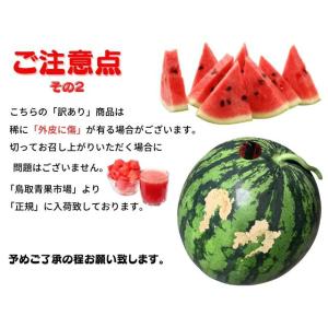 スイカ 西瓜 すいか 鳥取 鳥取県北栄町産(旧...の詳細画像5
